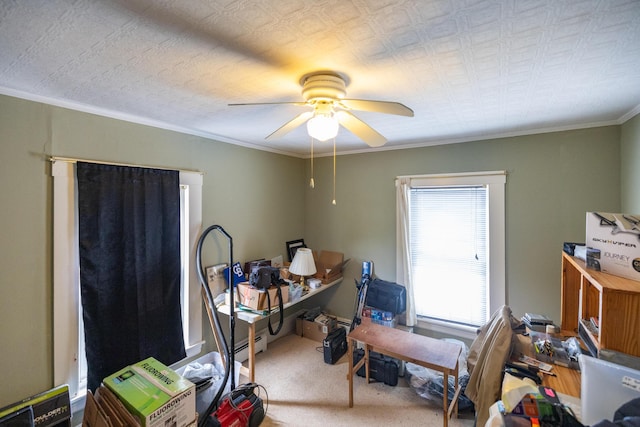 168 Beech Hill Rd, Auburn, ME 04210 - office area featuring a ceiling fan, carpet flooring, and ornamental molding
