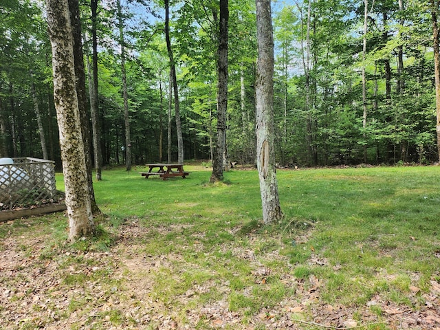 227 Brooks Pond Dr, Corinna, ME 04928 - view of grassy yard featuring a view of trees