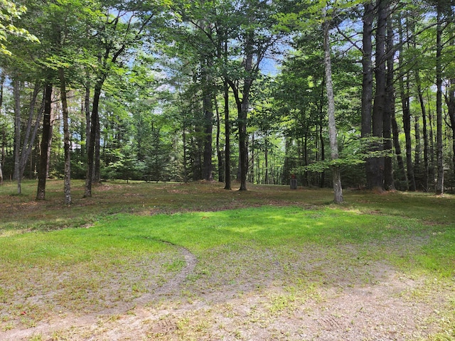 227 Brooks Pond Dr, Corinna, ME 04928 - view of yard