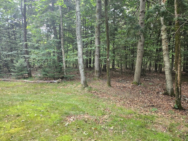 227 Brooks Pond Dr, Corinna, ME 04928 - view of wooded area
