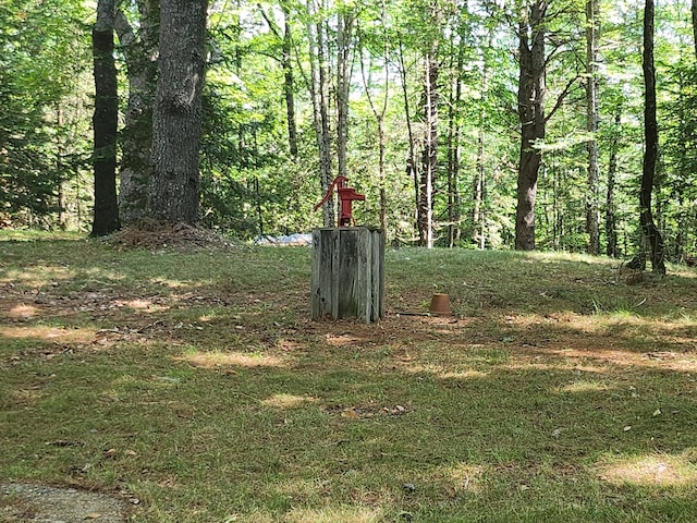 227 Brooks Pond Dr, Corinna, ME 04928 - view of yard with a view of trees