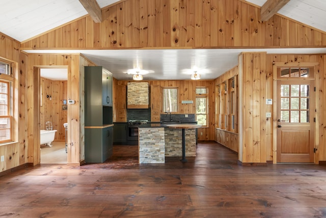 389 Castle Island Rd, Belgrade, ME 04917 - kitchen with wooden walls, healthy amount of natural light, gas range, a sink, and dark wood finished floors
