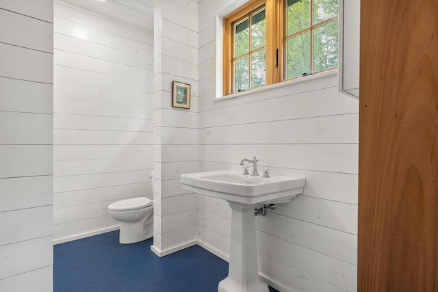389 Castle Island Rd, Belgrade, ME 04917 - half bath featuring toilet and wood walls