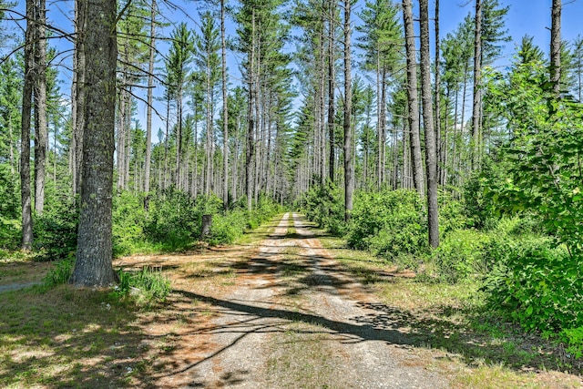 890 Salem Rd, Freeman Twp, ME 04983 - view of dirt / gravel road featuring a forest view