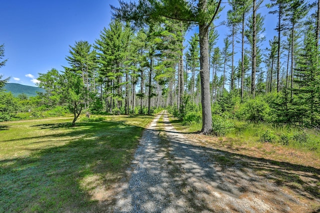 890 Salem Rd, Freeman Twp, ME 04983 - view of dirt / gravel road featuring a forest view