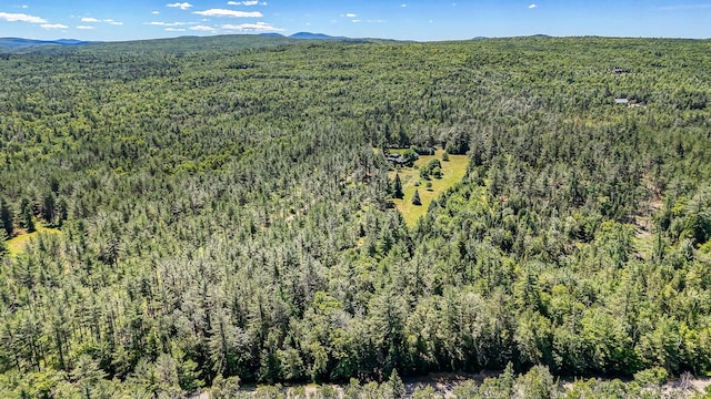 890 Salem Rd, Freeman Twp, ME 04983 - aerial view of property and surrounding area featuring a heavily wooded area and a mountainous background