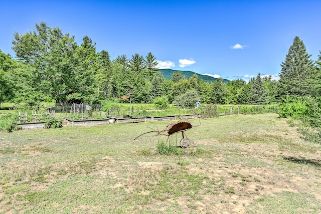 890 Salem Rd, Freeman Twp, ME 04983 - view of grassy yard with a vegetable garden