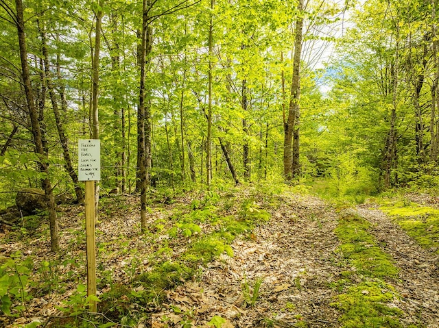 572 Old County Rd, Washington, ME 04574 - photo 3