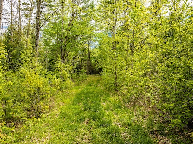 572 Old County Rd, Washington, ME 04574 - photo 4