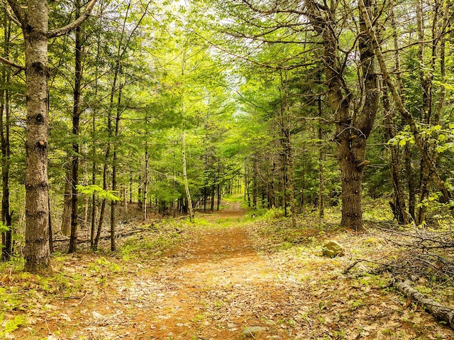 572 Old County Rd, Washington, ME 04574 - photo 2