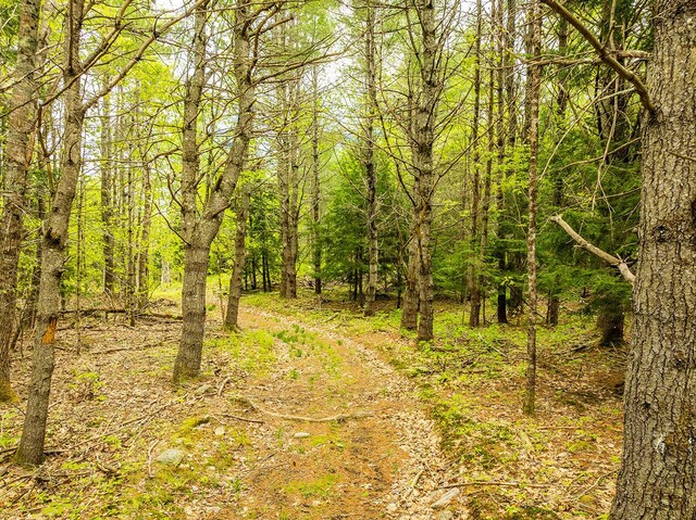572 Old County Rd, Washington, ME 04574 - photo 11