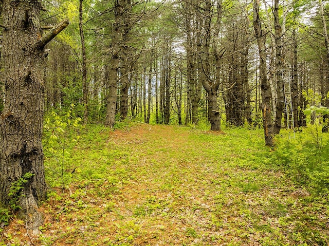 572 Old County Rd, Washington, ME 04574 - photo 13