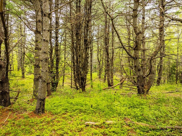572 Old County Rd, Washington, ME 04574 - photo 15