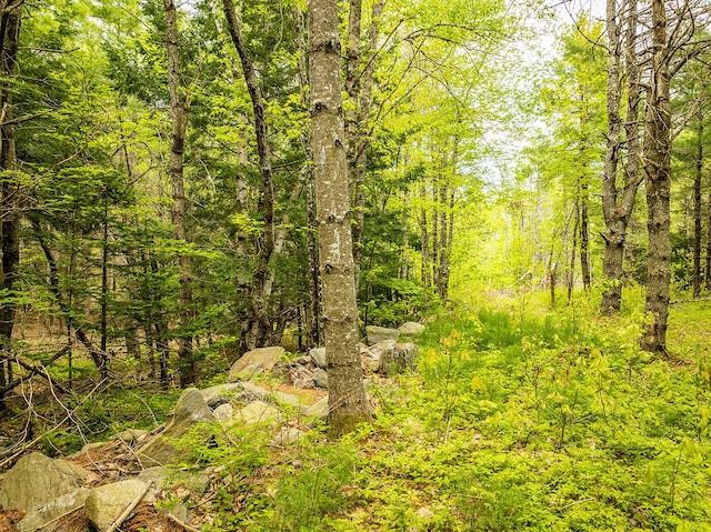 572 Old County Rd, Washington, ME 04574 - photo 16