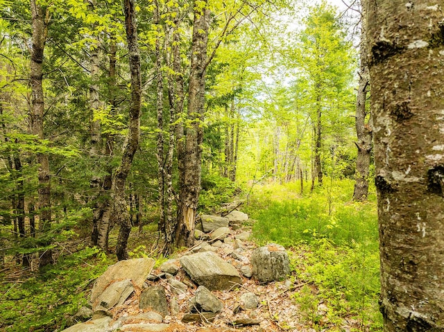 572 Old County Rd, Washington, ME 04574 - photo 17