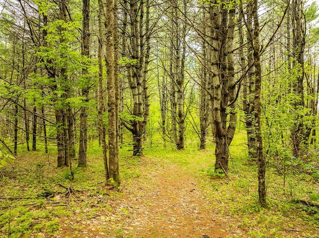572 Old County Rd, Washington, ME 04574 - photo 19