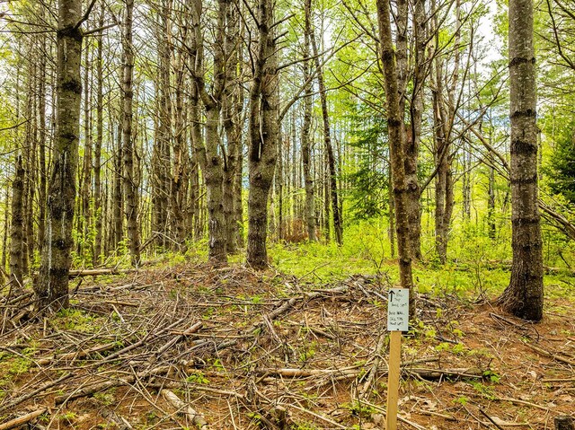 572 Old County Rd, Washington, ME 04574 - photo 22