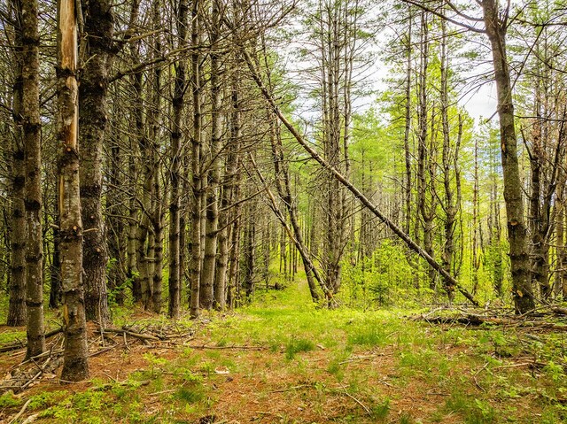 572 Old County Rd, Washington, ME 04574 - photo 23