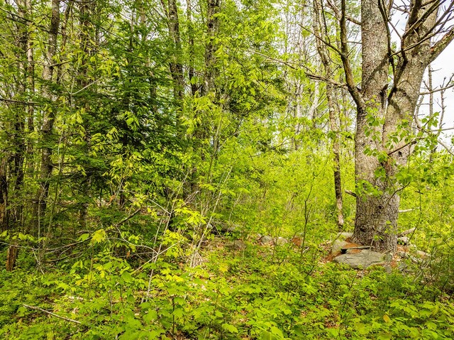 572 Old County Rd, Washington, ME 04574 - photo 31