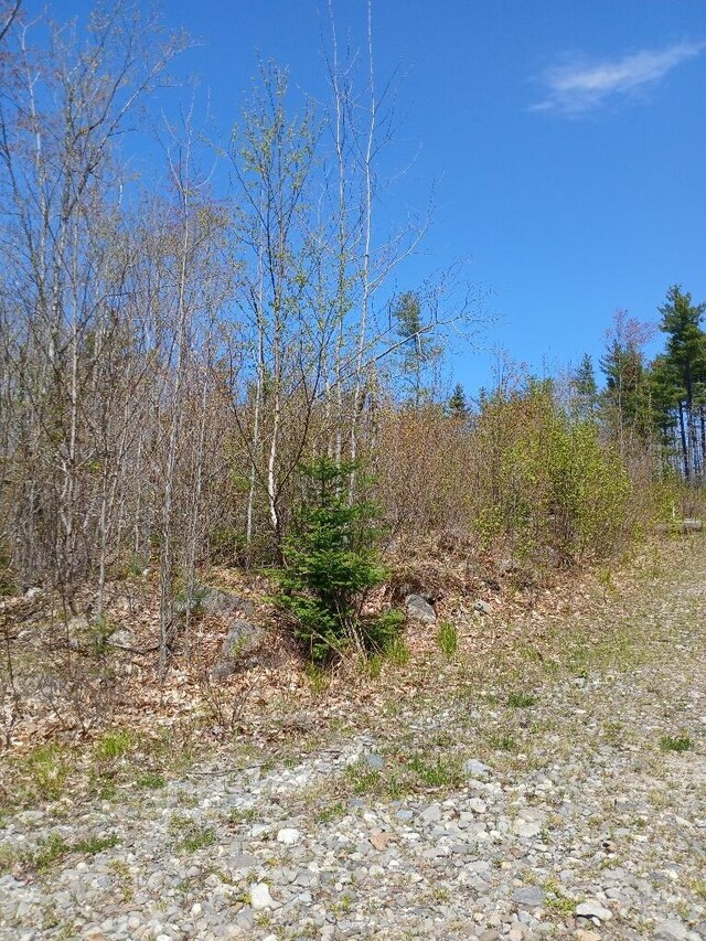 40A Eleanor Mae Rd, Deblois, ME 04622 - photo 4