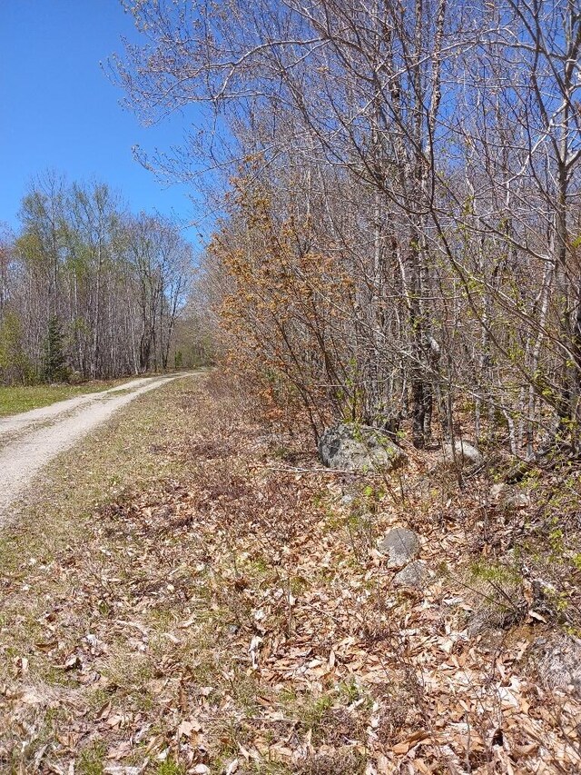 40A Eleanor Mae Rd, Deblois, ME 04622 - photo 5