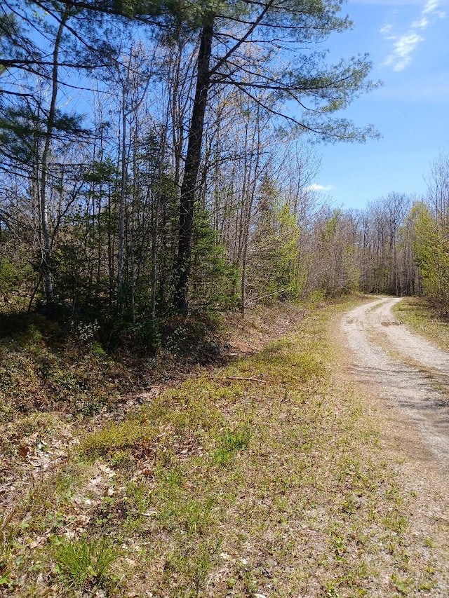 40A Eleanor Mae Rd, Deblois, ME 04622 - photo 2