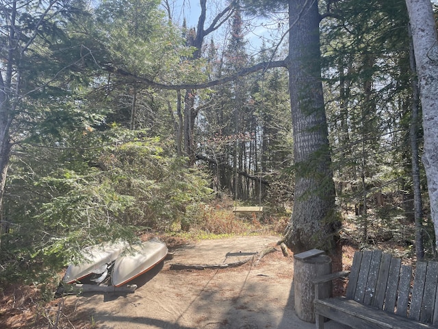 view of yard featuring a forest view