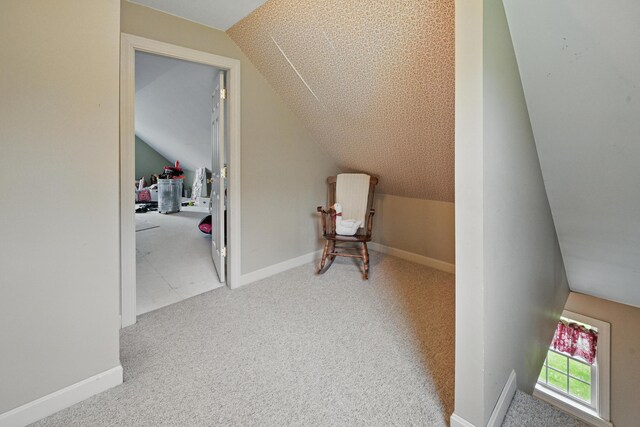 94 Staples Hill Rd, Canton, ME 04221 - additional living space with lofted ceiling, carpet, and baseboards