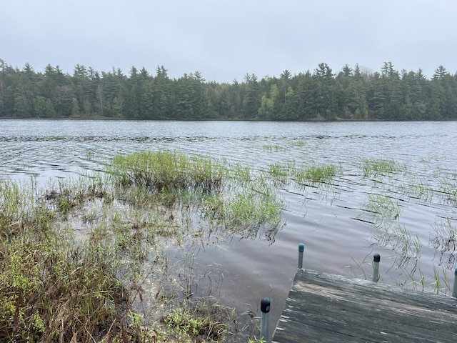 2 S Union River Rd, Mariaville, ME 04605 - photo 4