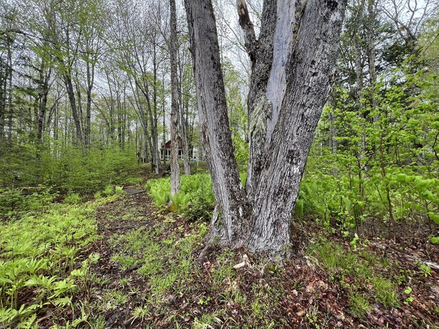 2 S Union River Rd, Mariaville, ME 04605 - photo 53