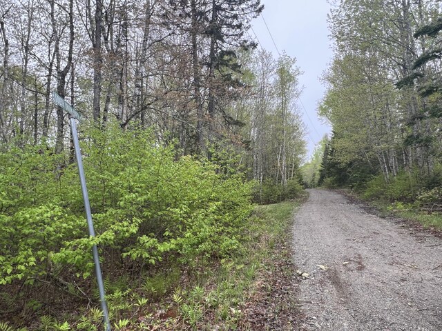 2 S Union River Rd, Mariaville, ME 04605 - photo 54