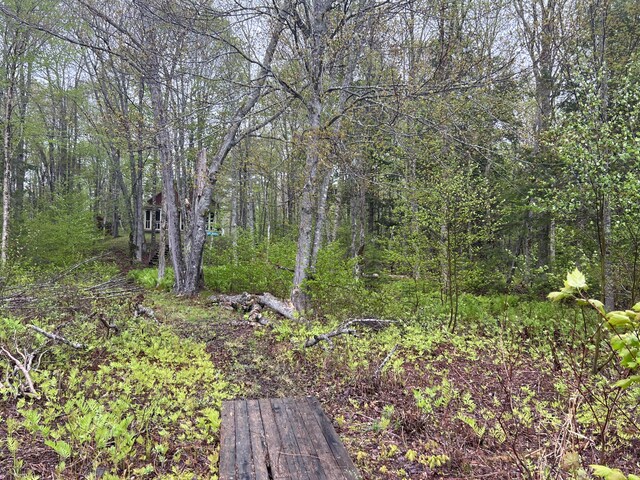 2 S Union River Rd, Mariaville, ME 04605 - photo 57