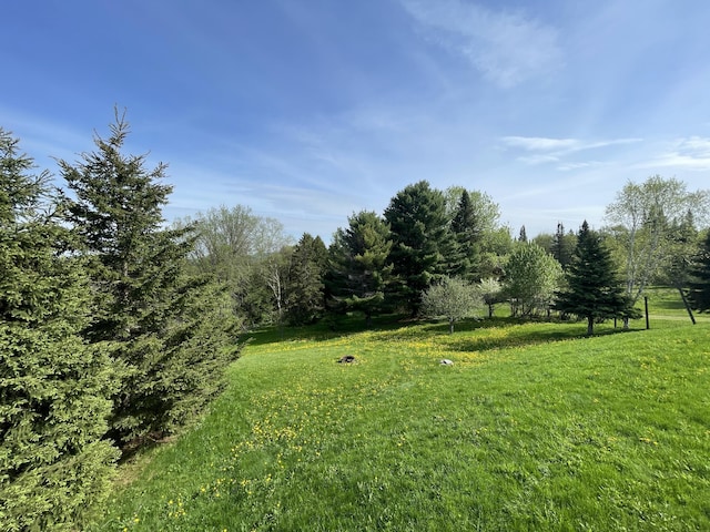 409 Violette Settlement Rd, Fort Kent, ME 04743 - photo 19