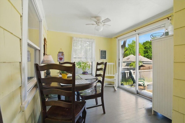 139 S Ave, Lewiston, ME 04240 - sunroom with plenty of natural light