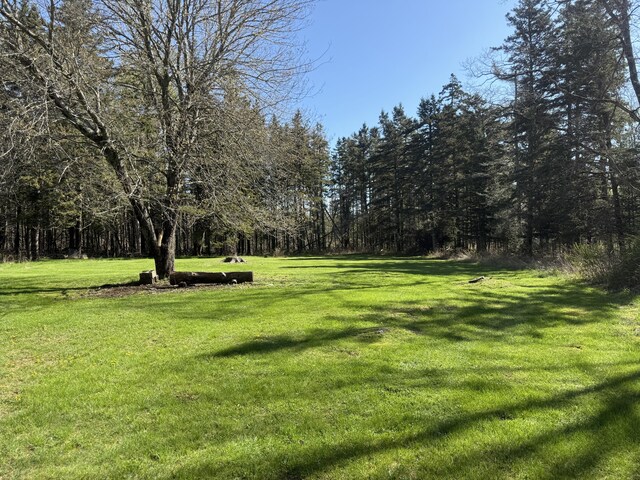 193 Dow Rd, Deer Isle, ME 04627 - photo 3