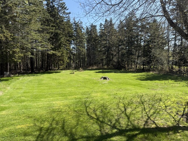 193 Dow Rd, Deer Isle, ME 04627 - photo 23
