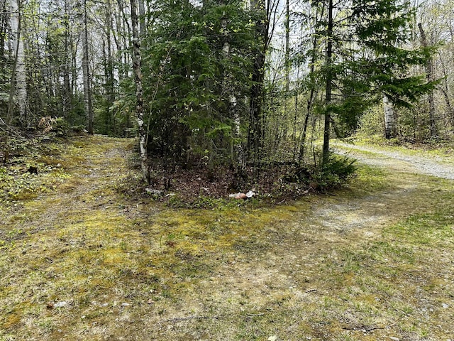 1080 Frenchtown Rd, Frenchtown Twp, ME 04441 - view of tree filled area