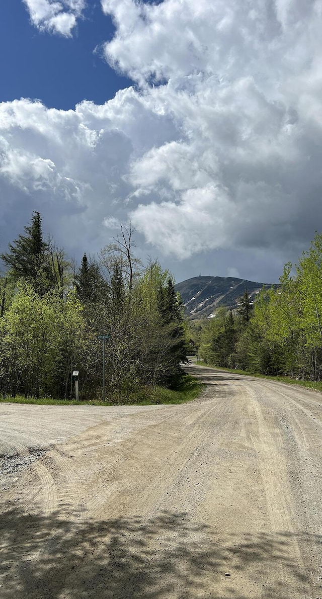 5000 N Woods Ln, Carrabassett Valley, ME 04947 - photo 2