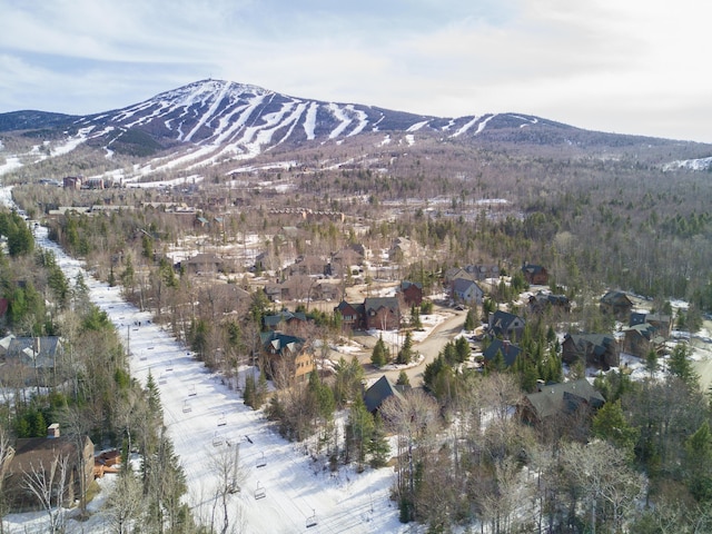 5000 N Woods Ln, Carrabassett Valley, ME 04947 - photo 5