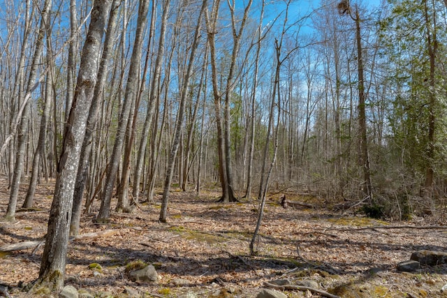 0 Kingdom Rd, Blue Hill, ME 04614