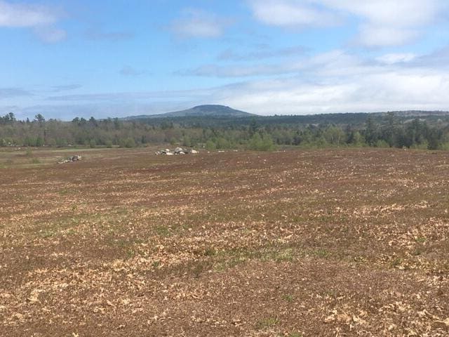 0 Kingdom Rd, Blue Hill, ME 04614
