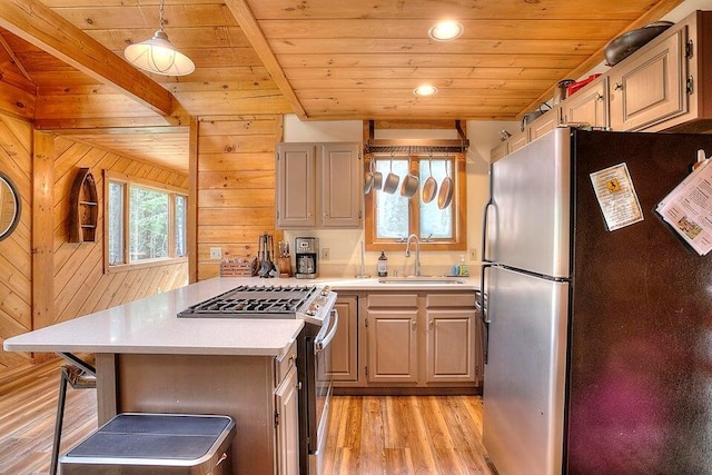 231 Kendall Farm Trl, Rangeley, ME 04970 - kitchen featuring stainless steel appliances, a sink, light wood-type flooring, wooden ceiling, and light countertops