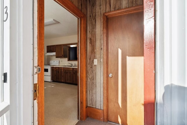 hallway featuring light colored carpet and a sink