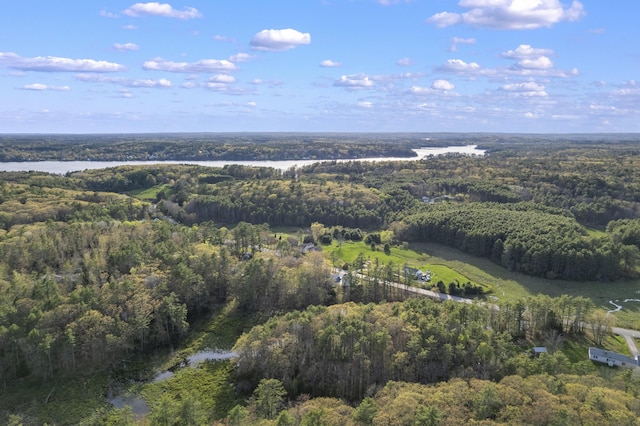 441 Middle Rd, Woolwich, ME 04579 - aerial overview of property's location with a forest and a large body of water