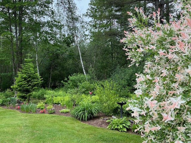 5 Baxter Ln, Cumberland, ME 04021 - photo 59