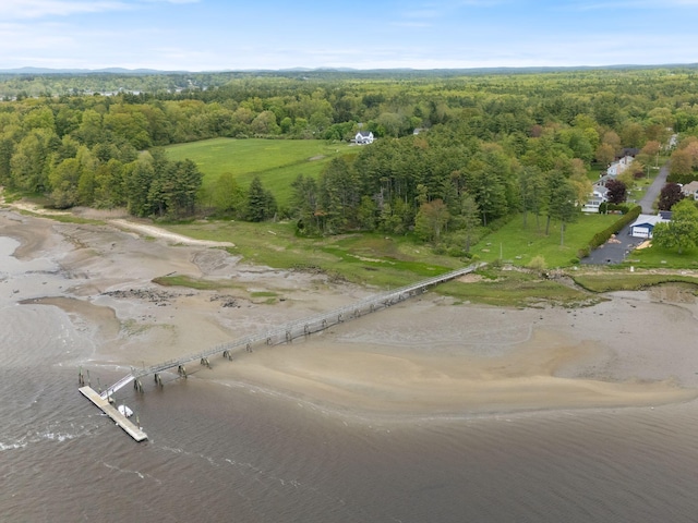 18 Laurel Ln, Eliot, ME 03903 - drone / aerial view of a forest