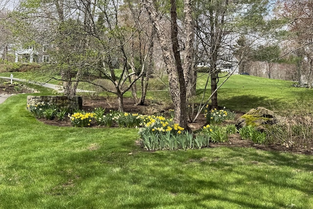 3 Lexington Ln, Rockport, ME 04856 - photo 5