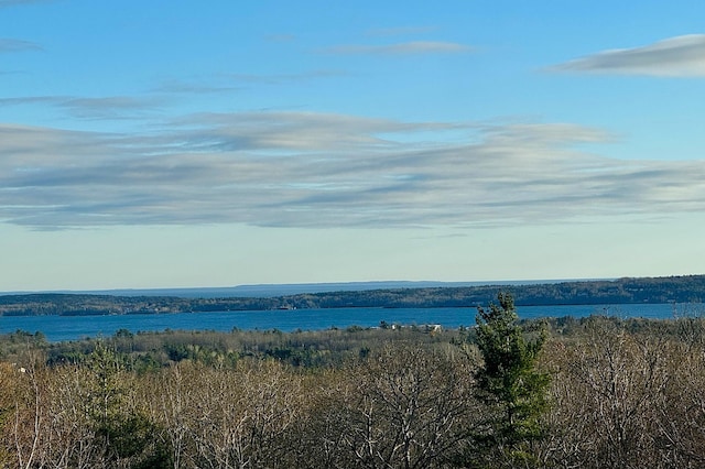 3 Lexington Ln, Rockport, ME 04856 - photo 44