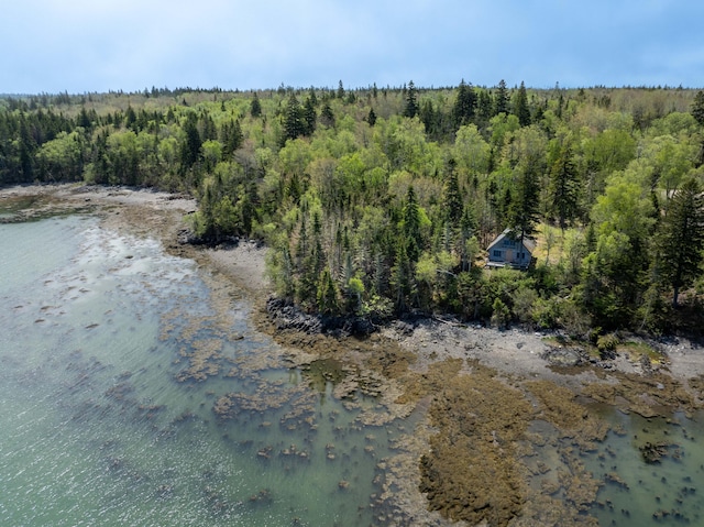 734 Duck Cove Rd, Roque Bluffs, ME 04654 - water view with a heavily wooded area