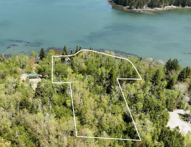 734 Duck Cove Rd, Roque Bluffs, ME 04654 - aerial view of property's location with property boundaries highlighted, a large body of water, and a heavily wooded area